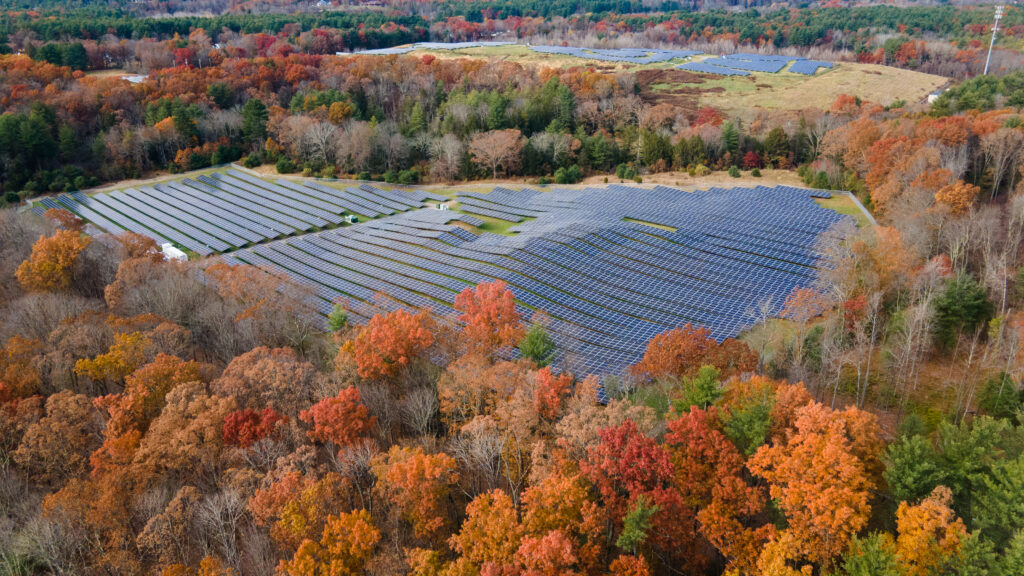 Northampton community solar garden in Northampton MA connected with National Grid and developed by Syncarpha 5