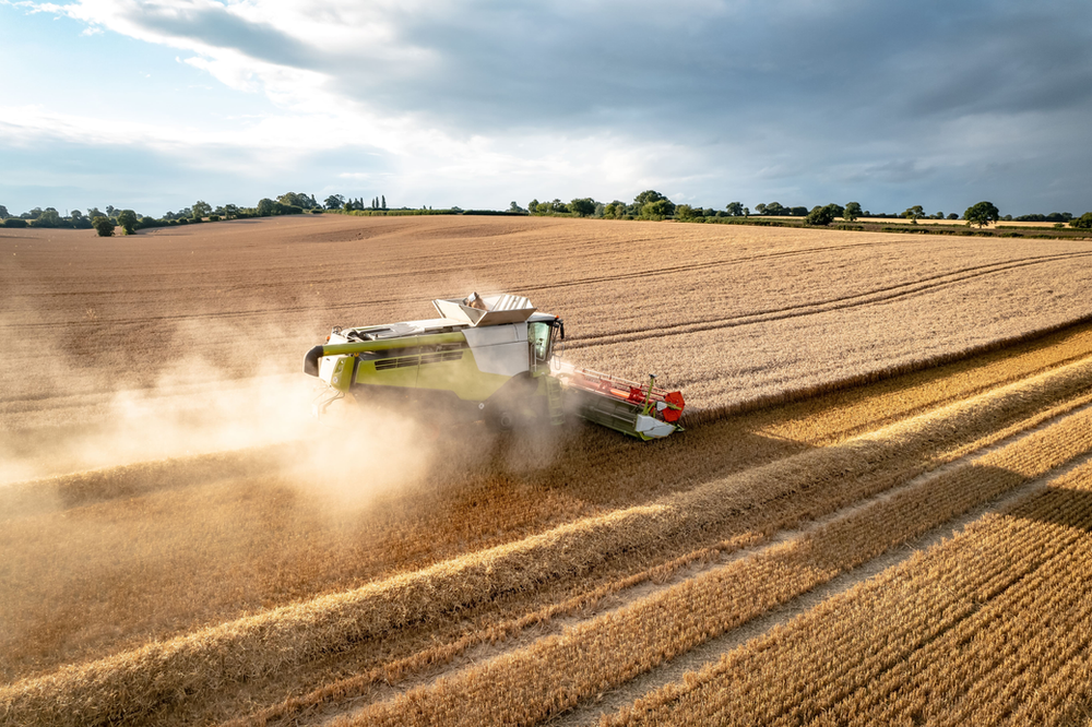 Reduce carbon emissions by embracing sustainable eating habits - The Hidden Carbon Costs of Your Daily Diet: A Look Inside Sustainable Eating