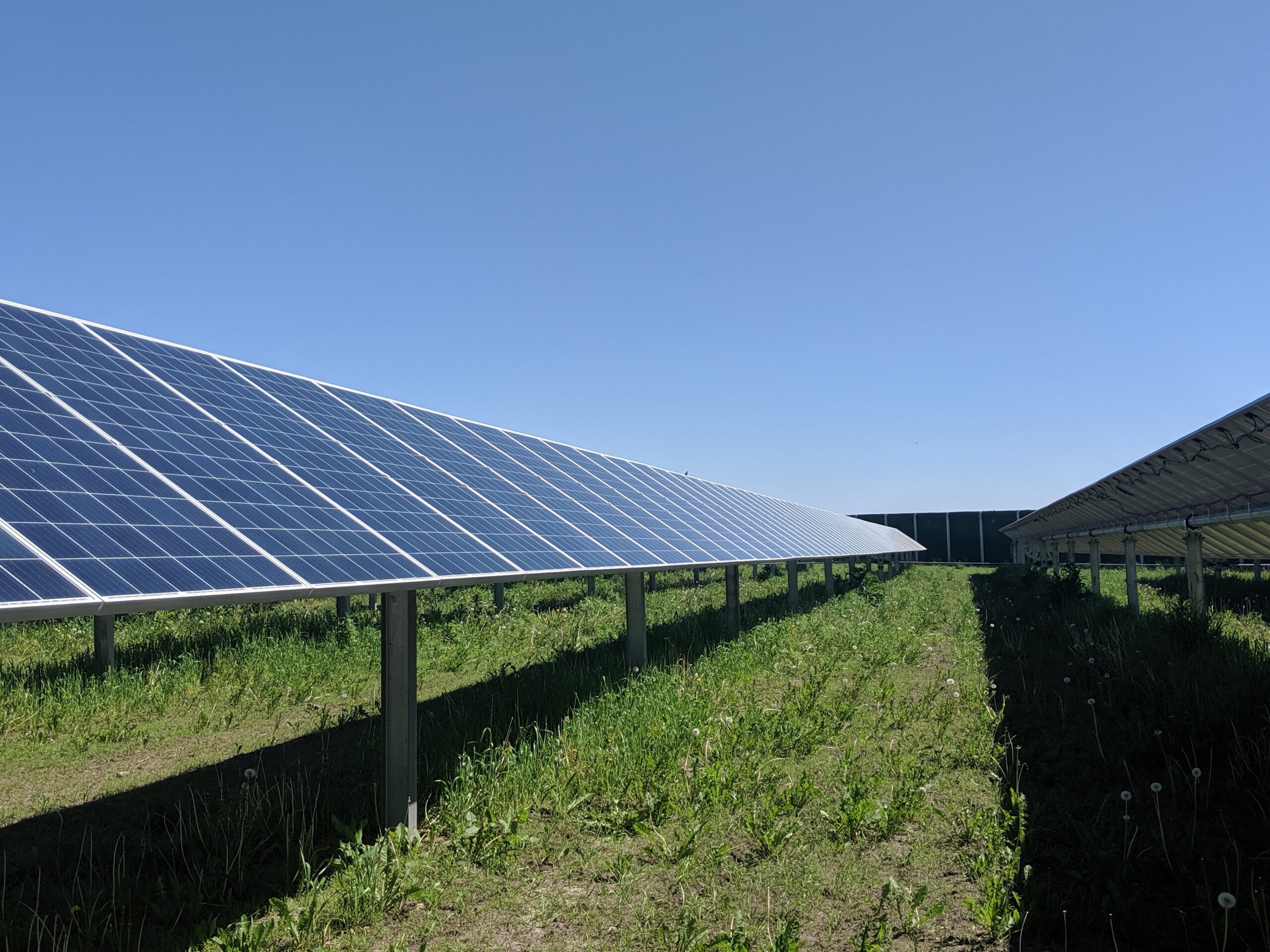 Solar Gardens by Syncarpha - Dodge 1 Solar - Minnesota Community Solar - 1