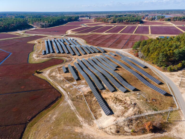 Syncarpha Carver Solar Project Turns Cranberry Bog Into Operating Power Source - 2